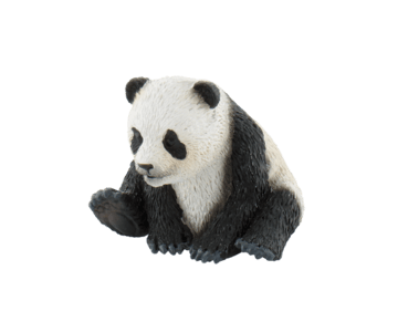Pui de urs panda