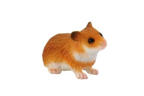 Hamster