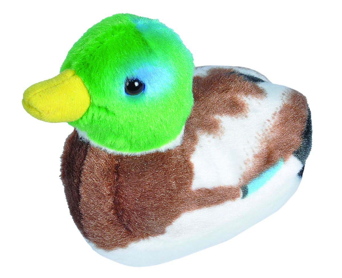 https://magicashop.ro/images/thumbs/0021542_pasare-cu-sunet-rata-salbatica-mallard-duck.jpeg