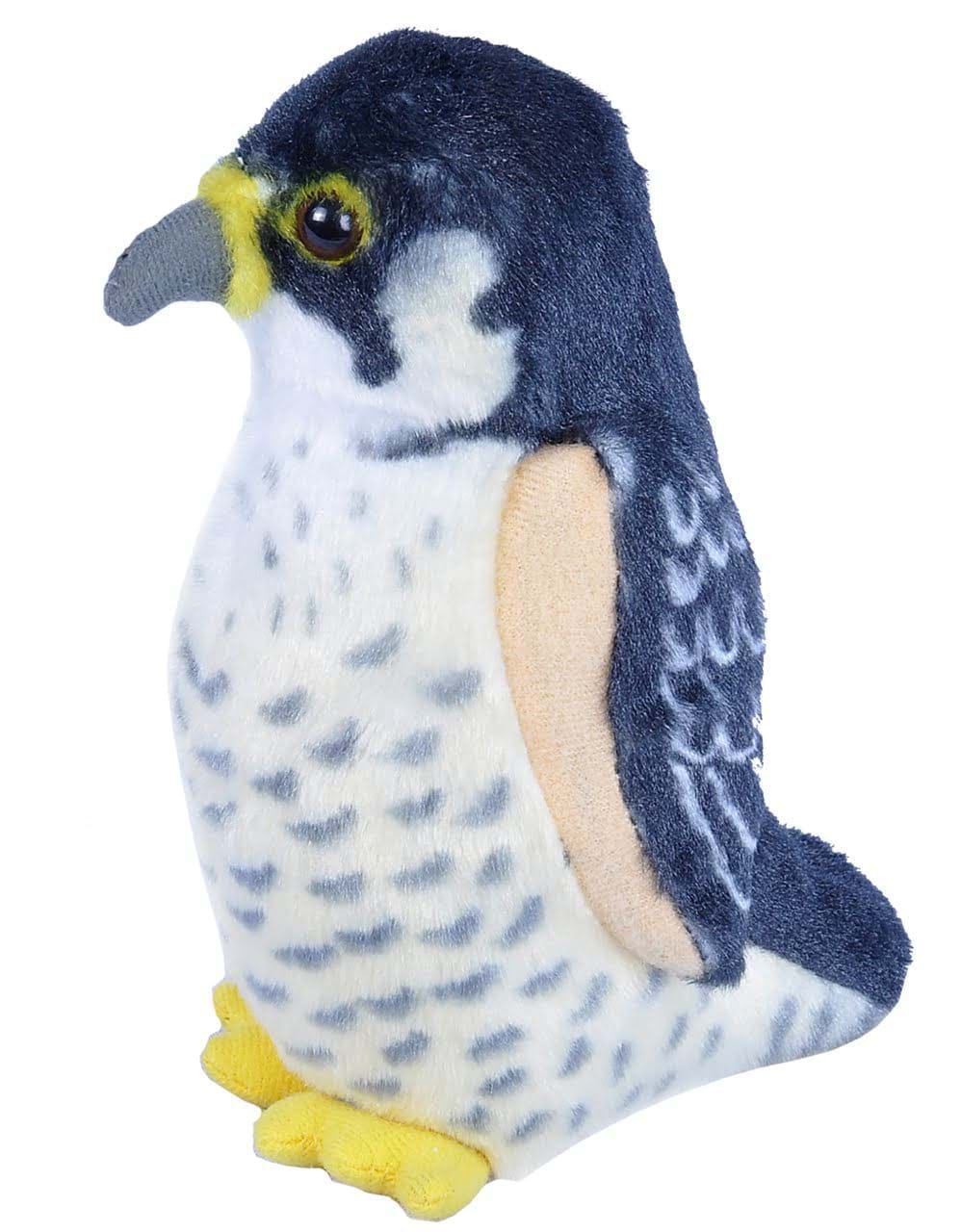https://magicashop.ro/images/thumbs/0021549_pasare-cu-sunet-soim-calator-peregrine-falcon.jpeg