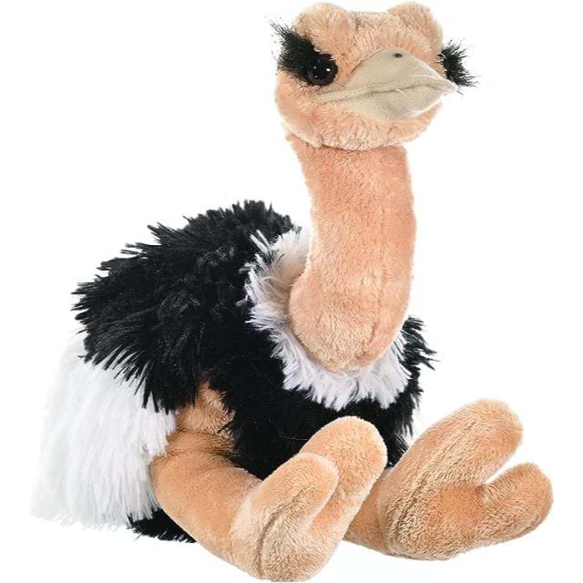 https://magicashop.ro/images/thumbs/0023139_strut-jucarie-plus-wild-republic-30-cm.jpeg