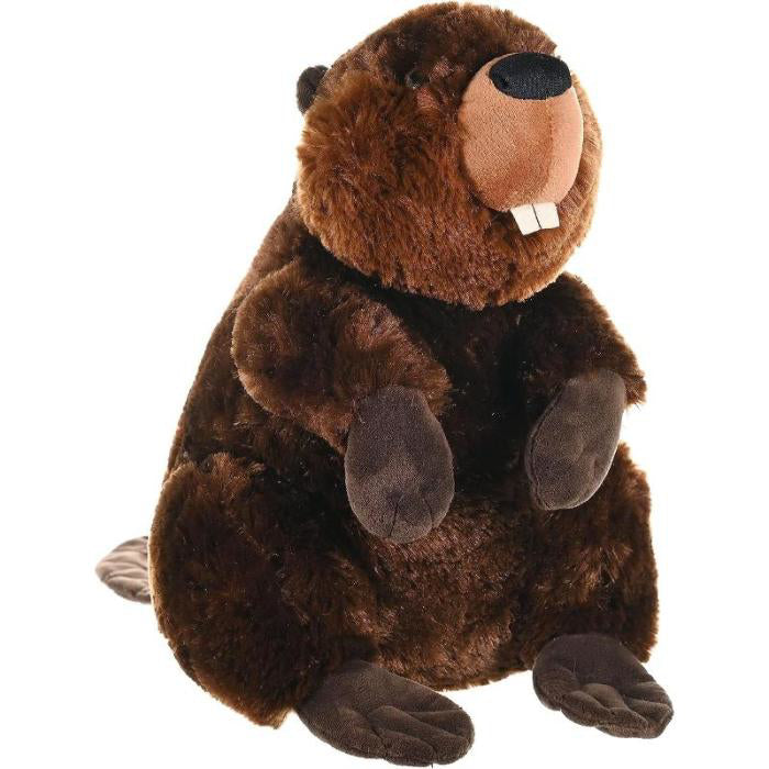 https://magicashop.ro/images/thumbs/0023519_castor-jucarie-plus-wild-republic-30-cm.jpeg
