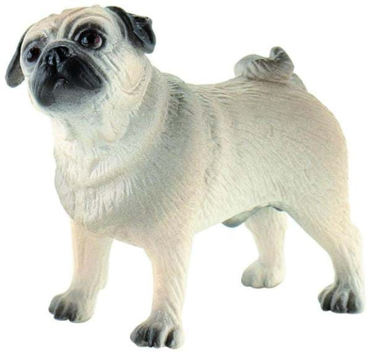 Caine rasa "MOPS"
