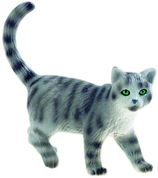 Pisica vargata "Minka"