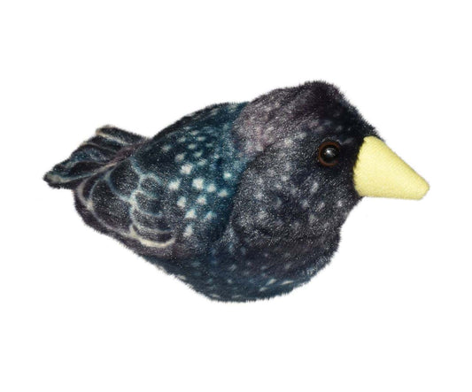 https://magicashop.ro/images/thumbs/0021570_pasare-cu-sunet-graur-starling.jpeg