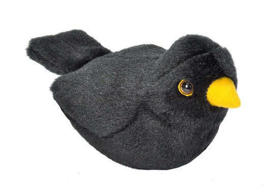 https://magicashop.ro/images/thumbs/0021501_pasare-cu-sunet-mierla-european-blackbird.jpeg