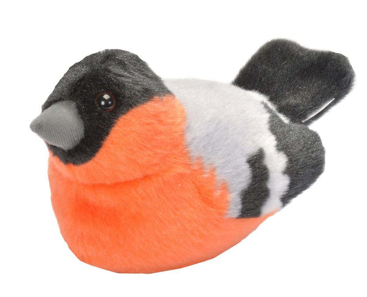 https://magicashop.ro/images/thumbs/0021513_pasare-cu-sunet-mugurar-bullfinch.jpeg