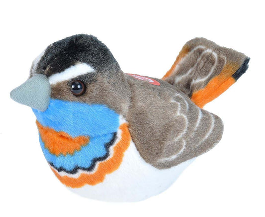 https://magicashop.ro/images/thumbs/0021530_pasare-cu-sunet-privighetoare-gusa-vanata-bluethroat.jpeg