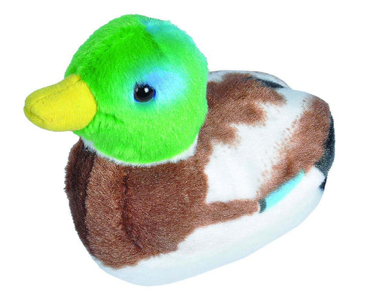 https://magicashop.ro/images/thumbs/0021542_pasare-cu-sunet-rata-salbatica-mallard-duck.jpeg