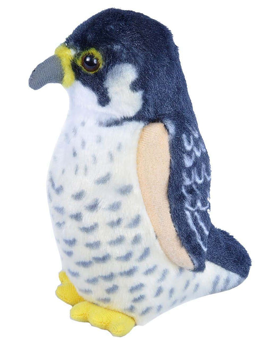 https://magicashop.ro/images/thumbs/0021549_pasare-cu-sunet-soim-calator-peregrine-falcon.jpeg