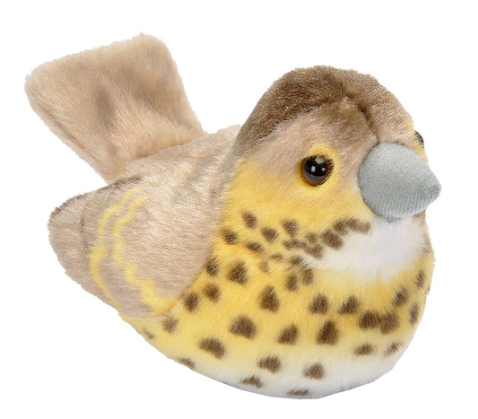 https://magicashop.ro/images/thumbs/0021508_pasare-cu-sunet-sturz-cantator-song-thrush.jpeg