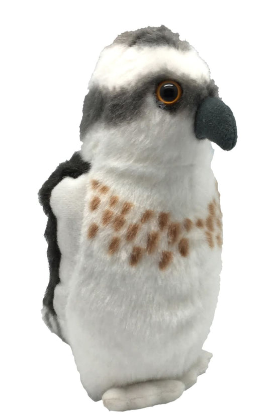 https://magicashop.ro/images/thumbs/0021565_pasare-cu-sunet-vultur-pescar-osprey.jpeg