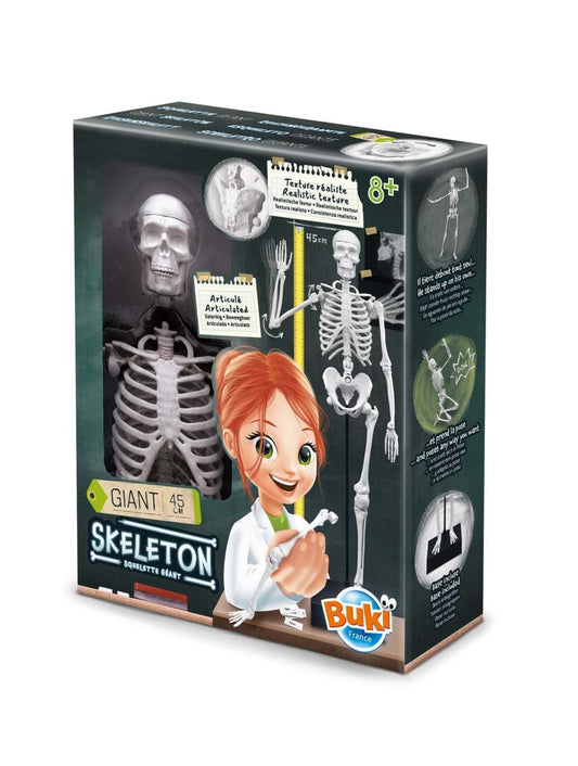 https://magicashop.ro/images/thumbs/0021904_schelet-gigant-45-cm.jpeg