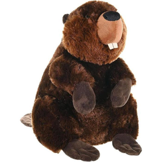 https://magicashop.ro/images/thumbs/0023519_castor-jucarie-plus-wild-republic-30-cm.jpeg